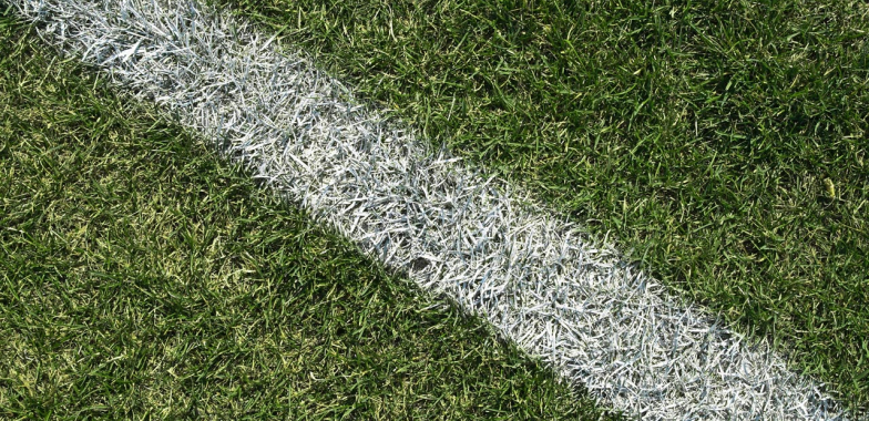 close up of a white line painted on grass