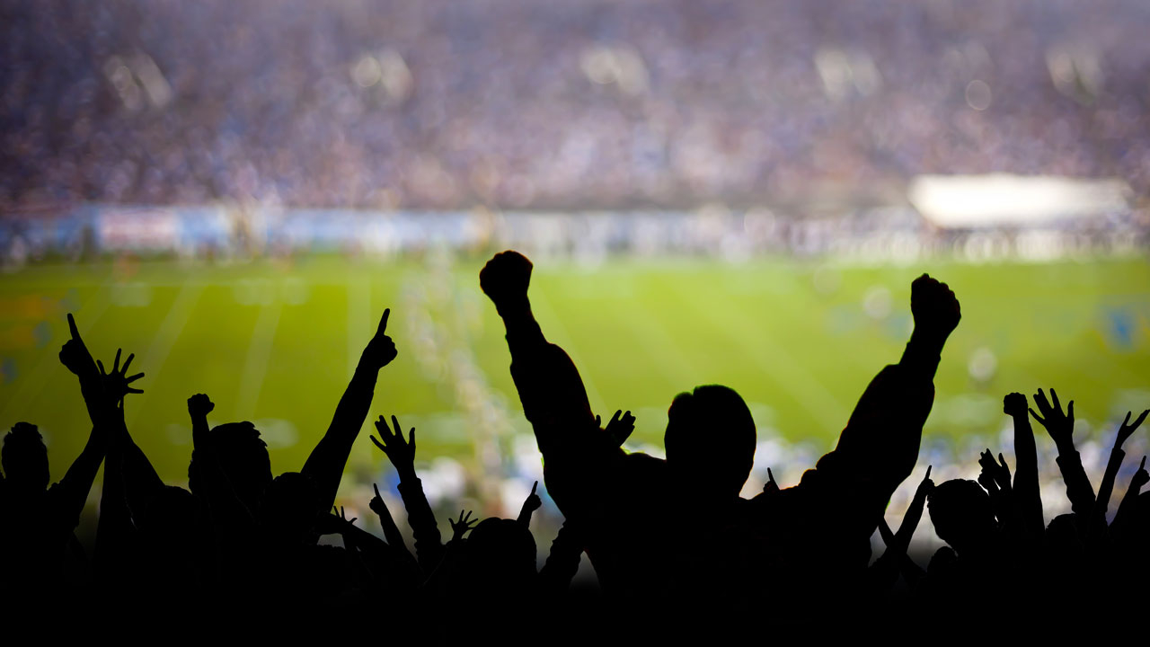 Crowd of cheering rugby fans at a stadium